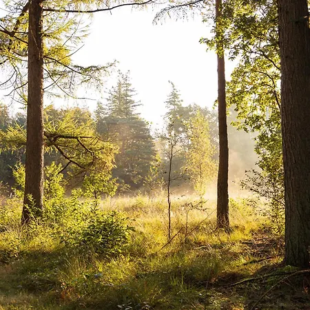 Veluws Genieten Met Whirlpool En Sauna *