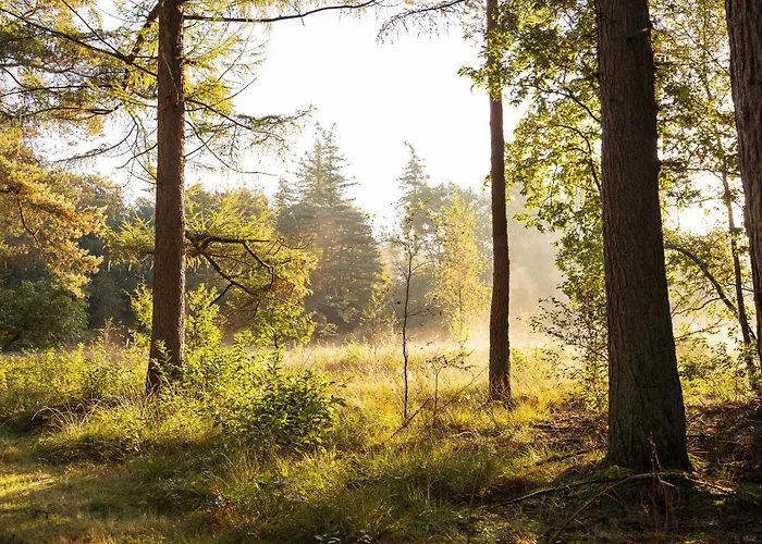 Veluws Genieten Met Whirlpool En Sauna *