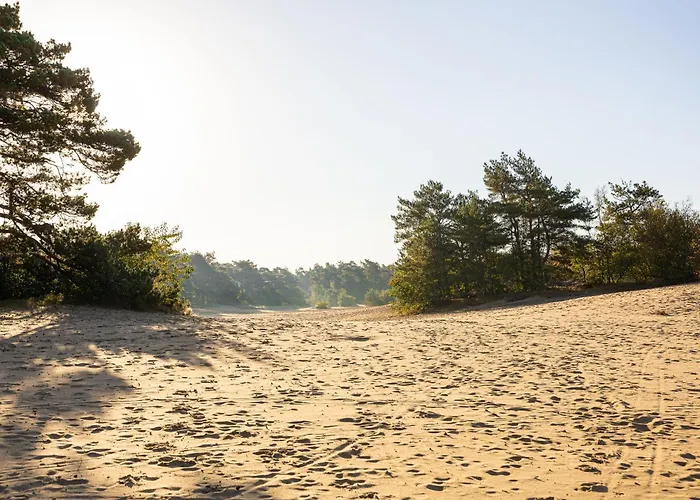 Chalet Veluws Genieten Met Whirlpool En Sauna *